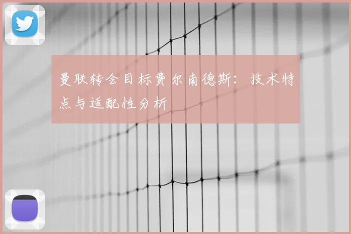 曼联转会目标费尔南德斯:技术特点与适配性分析
